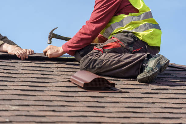 Best Metal Roofing Contractor  in Spring Arbor, MI