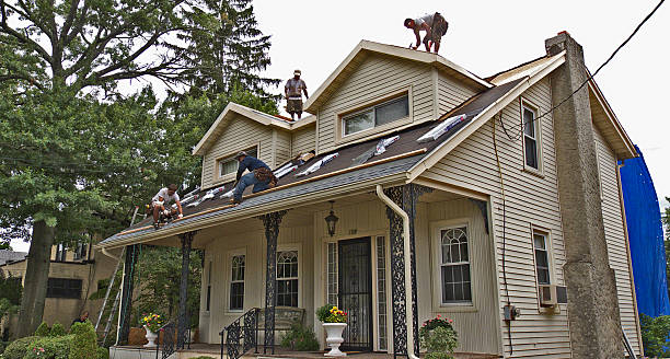 Best Flat Roof Repair Services  in Spring Arbor, MI
